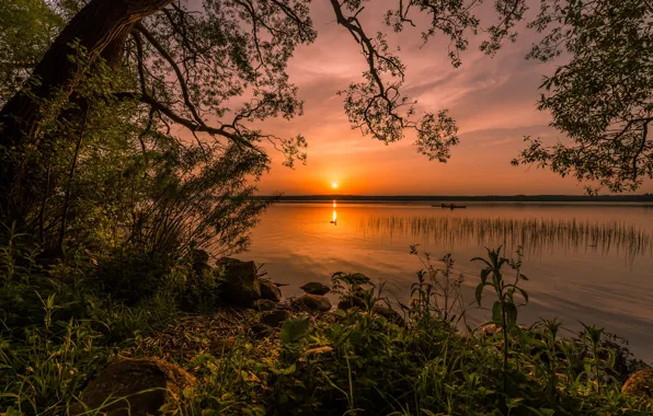 Картинка небо, деревья, пейзаж, закат, природа, озеро, берег
