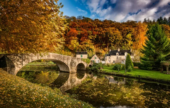 House, river, bridge, autumn, countryside, foliage