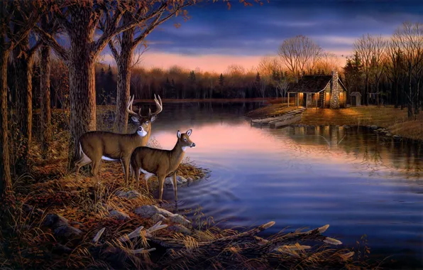 Картинка осень, лес, животные, вода, деревья, закат, природа, озеро