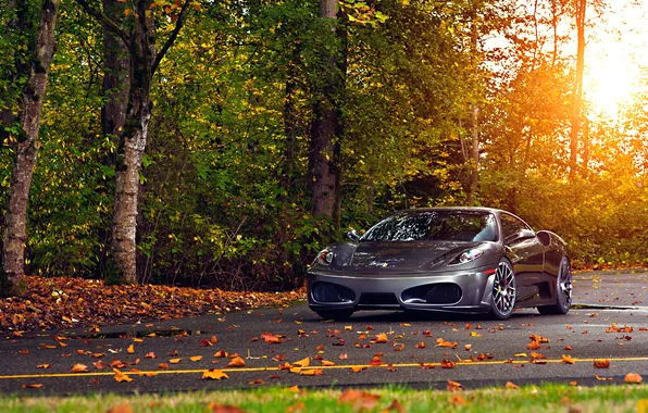 Картинка Ferrari, Green, Sun, Autumn, Tuning, asphalt, Silver, 430