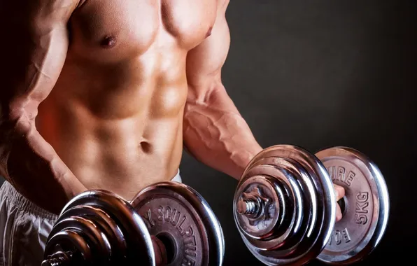 Muscles, fitness, gym, arms, abdominal