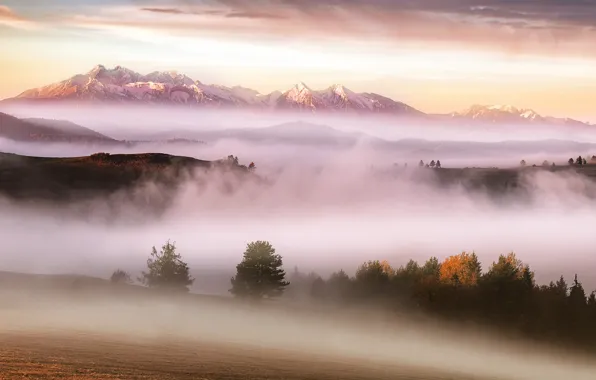 Картинка осень, горы, туман, утро, карпаты