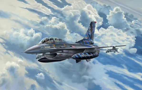 Истребитель, Дания, Lockheed Martin, F-16D Fighting Falcon, Lockheed Martin F-16D Tigermeet