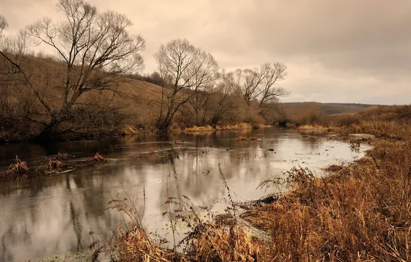 Осень, пейзаж, природа, река, утро