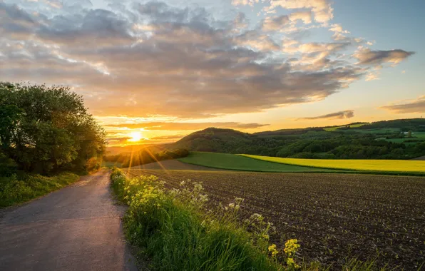 Картинка дорога, поле, закат, Германия