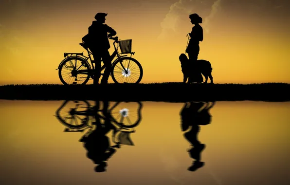 Девушка, солнце, велосипед, собака, парень, силуэты