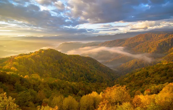 Картинка осень, облака, пейзаж, горы, природа, туман, леса