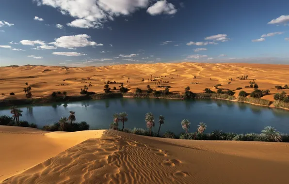 Песок, озеро, пустыня, оазис, Sahara