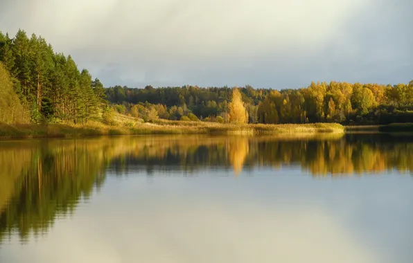 Картинка Псковская область, Роман Дмитриев, Мальское озеро, Мальская долина