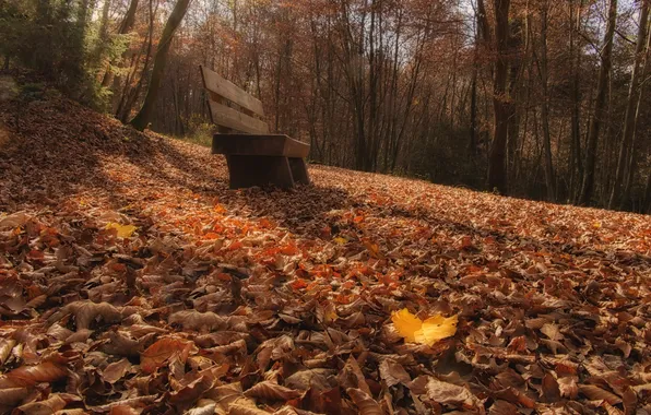 Осень, листья, парк, скамья