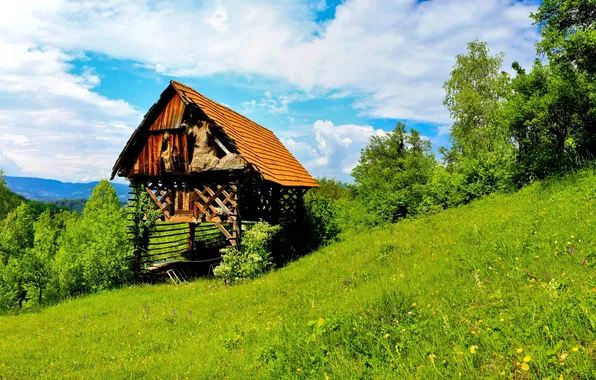 Картинка трава, пейзаж, природа, домик, Словения, Trbovlje