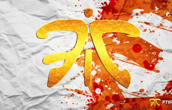 Team, paint, paper, csgo, fnatic, cs go, esports, fic