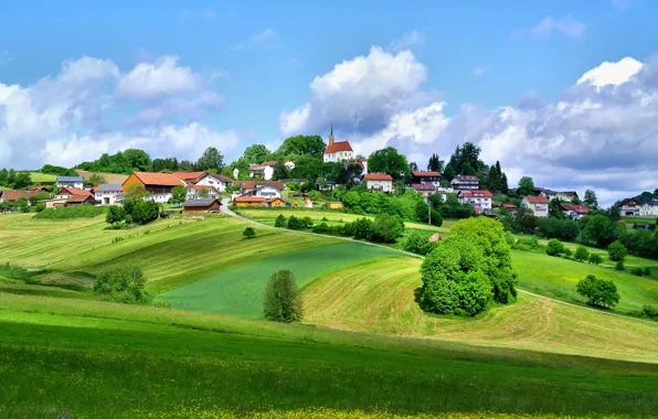 Картинка небо, трава, деревья, город, холмы, дома, Германия, Кирхберг
