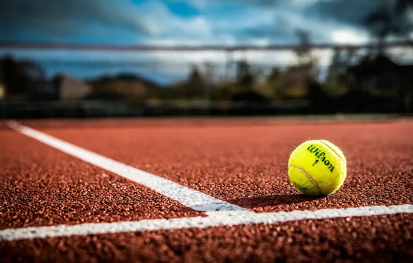 Картинка сетка, разметка, мяч, теннис, боке, корт