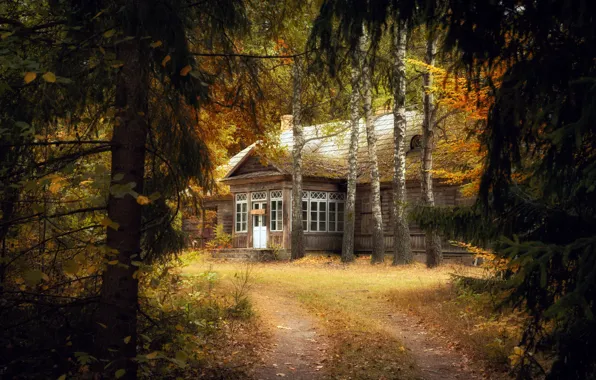 Картинка осень, лес, природа, дом