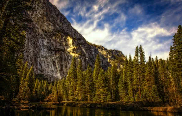 Картинка лес, горы, США, California, Национальный парк Йосемити, Yosemite National Park