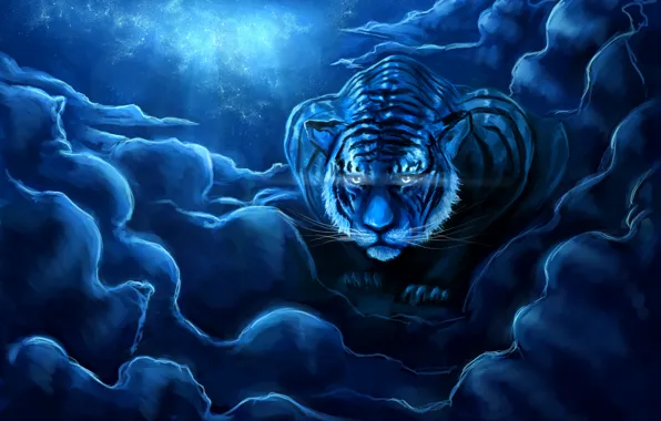 Небо, ночь, тигр, art, zepher234