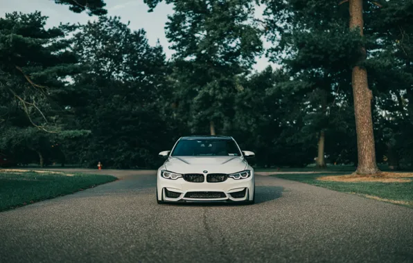 Bmw, white, f80