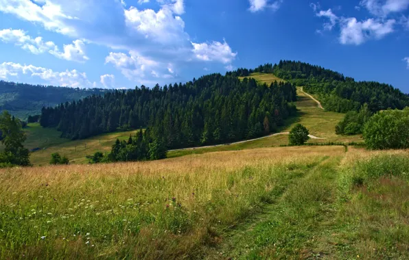 Дорога, Склон, Возвышенность