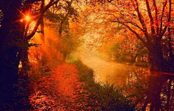 Картинка осень, лес, небо, листья, вода, деревья, горы, природа