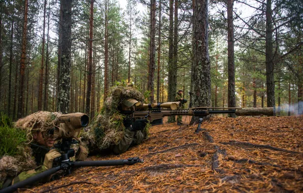 Картинка лес, оптика, снайпер, винтовка, наблюдение