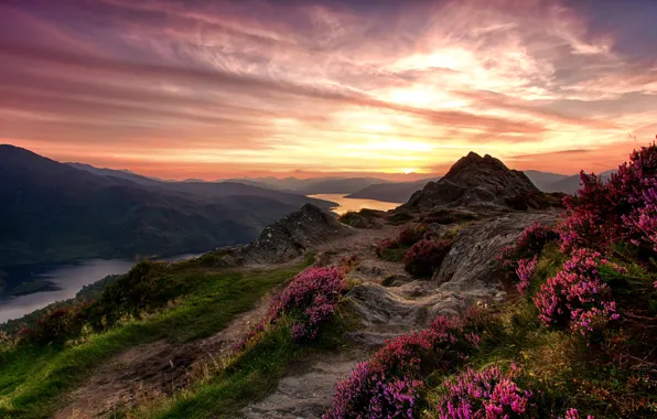 Картинка небо, трава, цветы, горы, река, камни, Шотландия, зарево
