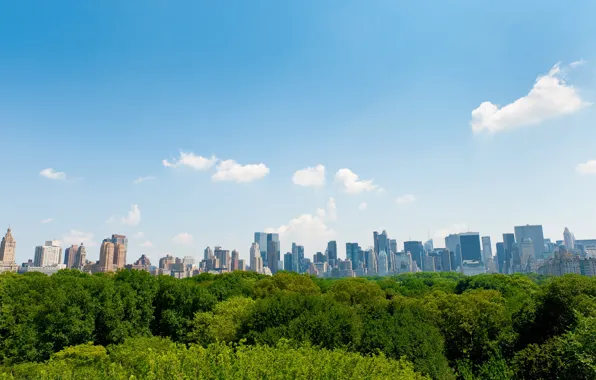 City, wallpaper, park