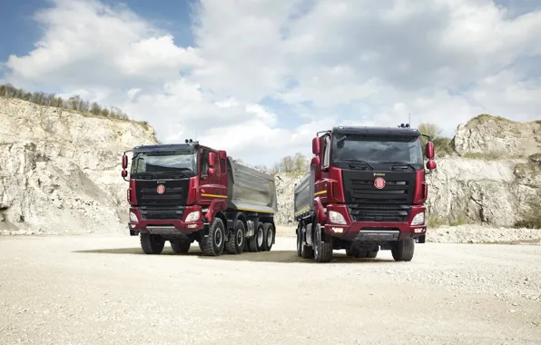 Phoenix, tatra, dump truck