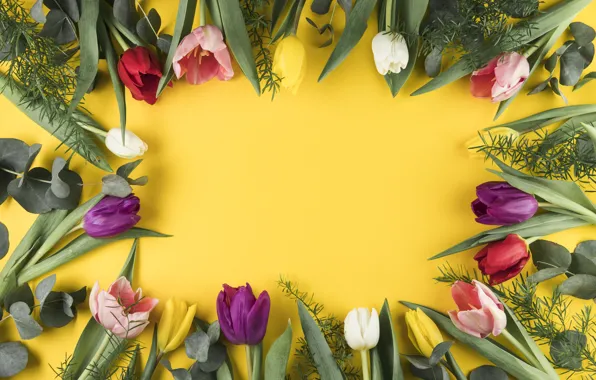 Цветы, colorful, тюльпаны, flowers, beautiful, tulips, spring, multicolored