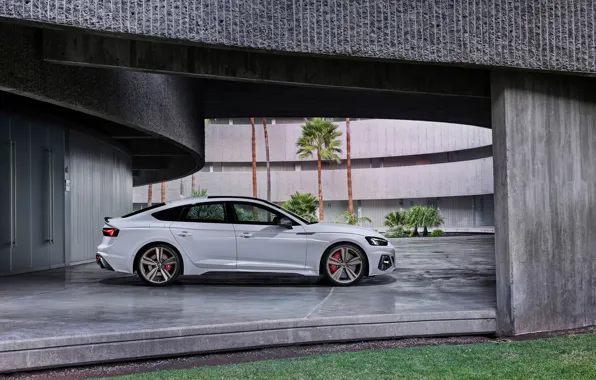 Audi, вид сбоку, RS5, Sportback, RS 5, 2020