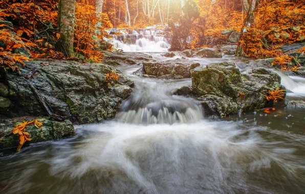 Картинка осень, лес, пейзаж, река, скалы, водопад, forest, river