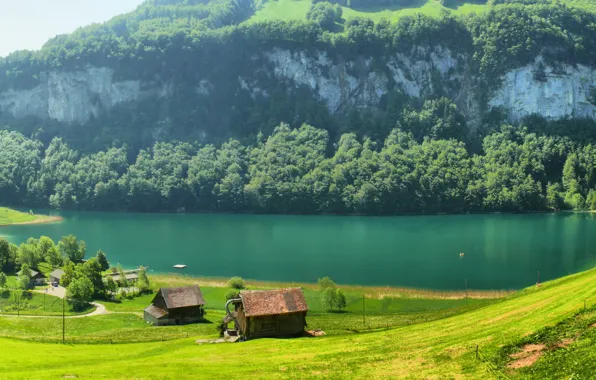 Картинка трава, горы, река, поляна, Швейцария, домики, Switzerland, деревья.