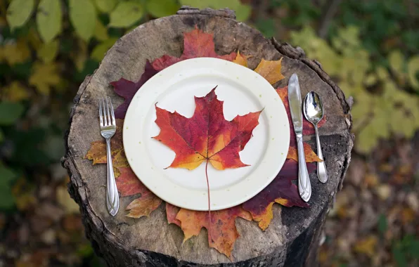 Картинка осень, лист, приборы, тарелка