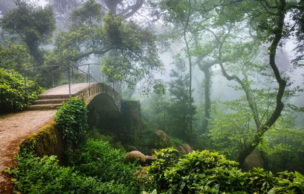 Картинка лес, мост, дымка, Португалия, Синтра