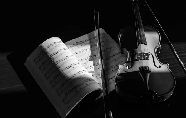 Music, Violin, Instrument, Black & White, Sergey Zigle, Grades
