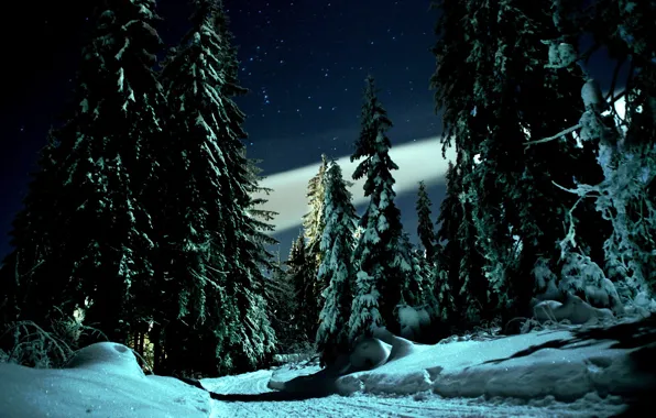 Картинка зима, дорога, снег, деревья, пейзаж, ночь, природа, звёзды