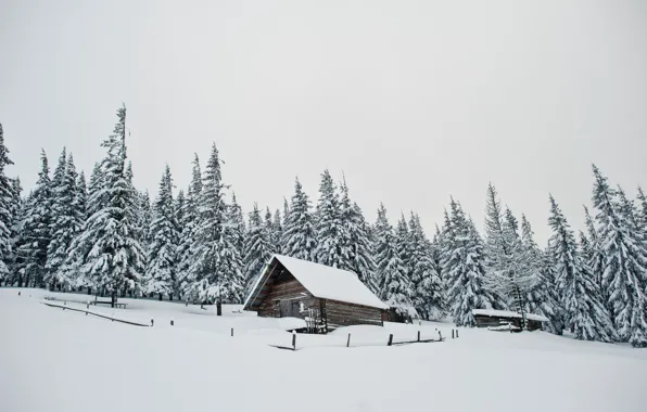 Картинка зима, снег, деревья, landscape, nature, winter, snow, frozen