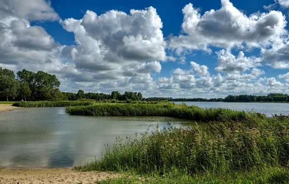 Картинка песок, небо, трава, облака, деревья, река, камыши, Нидерланды