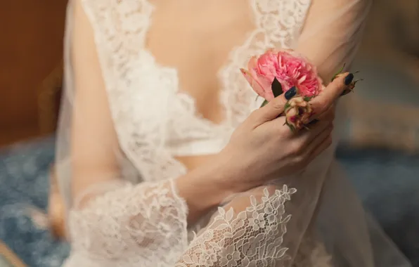 Картинка цветы, роза, руки, невеста