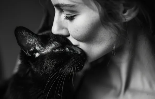 Кошка, кот, девушка, любовь, поза, черный, женщина, поцелуй
