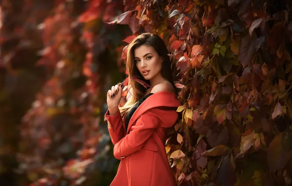 Картинка осень, взгляд, листья, волосы, Девушка, плечо, пальто, Анастасия Бармина