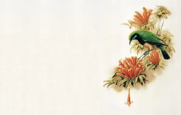 Картина DKD Home Decor Восточные птицы (80 х 4 х 120 см) (2 шт.)
