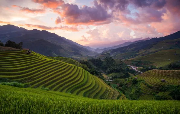 Холмы, поля, Азия, Вьетнам, рисовые, Mù Cang Chải District
