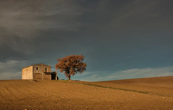 Картинка поле, небо, дом, дерево, холмы, Италия