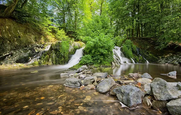 Картинка лес, камни, каскад