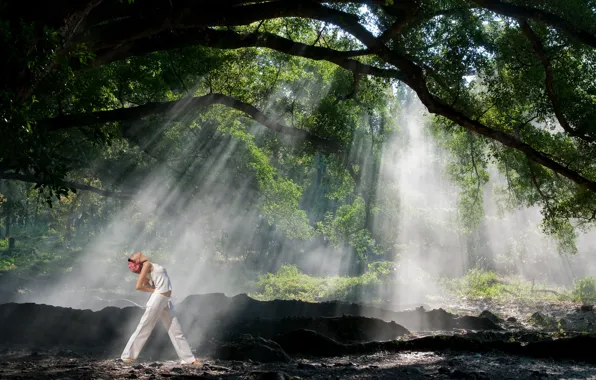 Картинка light, forest, woman