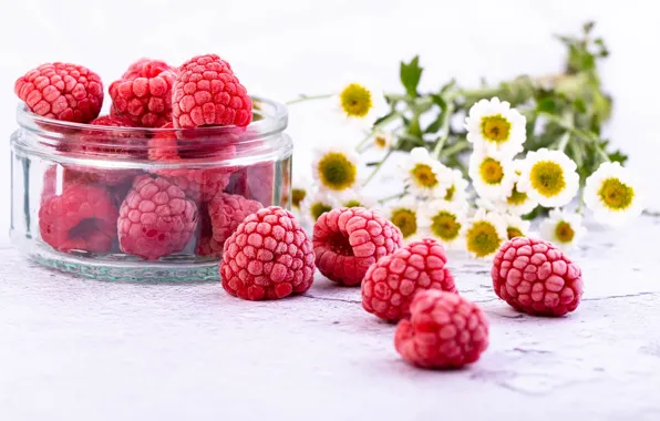 Картинка цветы, ягоды, малина, ромашки, баночки