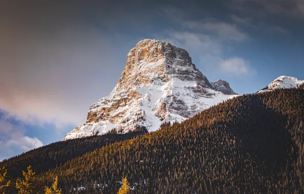 Nature, Clouds, Wood, Landscape, Mountain, Snow, Trees, Wildnis