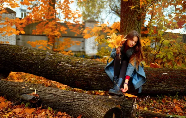 Картинка forest, trees, nature, leaves, model, women, coat, brunette