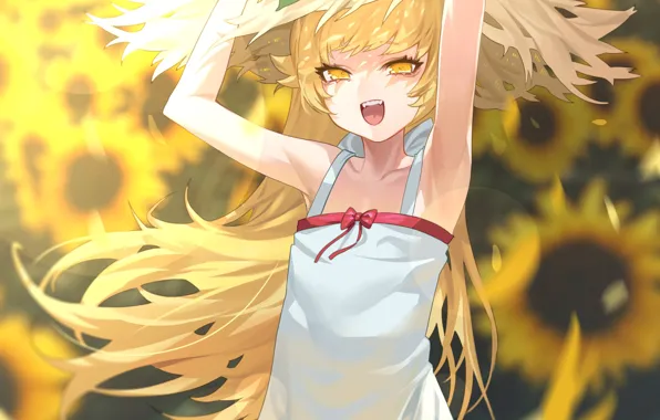 Лето, девушка, подсолнухи, Bakemonogatari, Oshino Shinobu